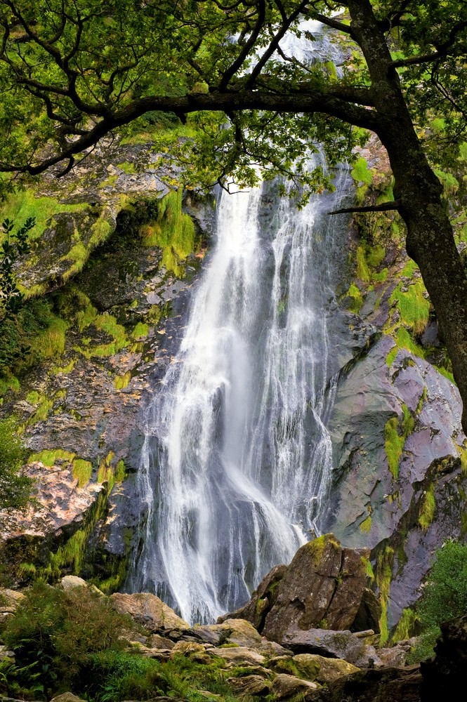 Powerscourt Waterfall