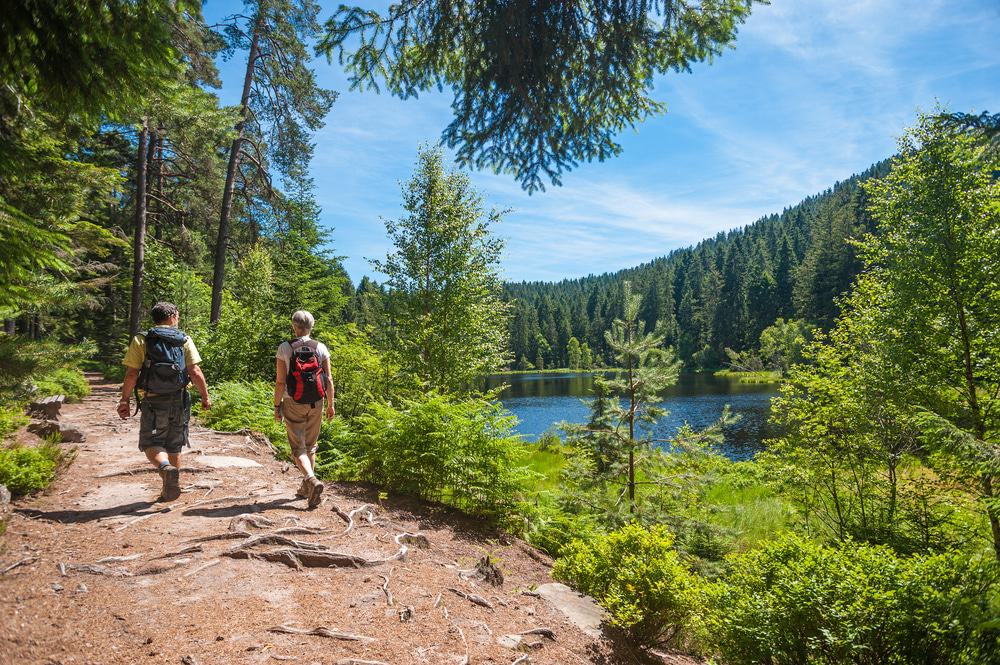 Black Forest, Germany