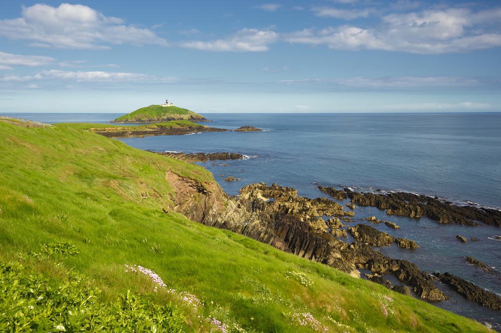 Ballycotton Cliff