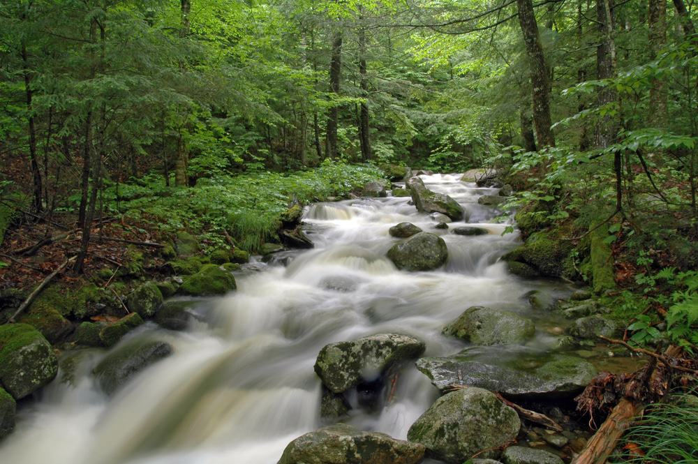 Dunn Falls, Maine