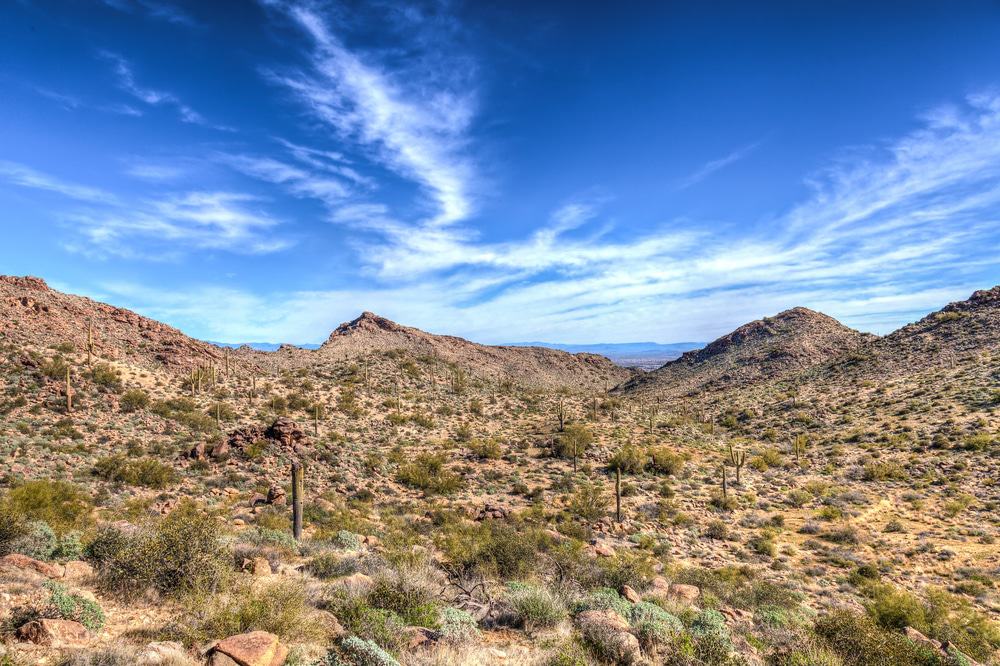 White Tank Mountain Regional Park