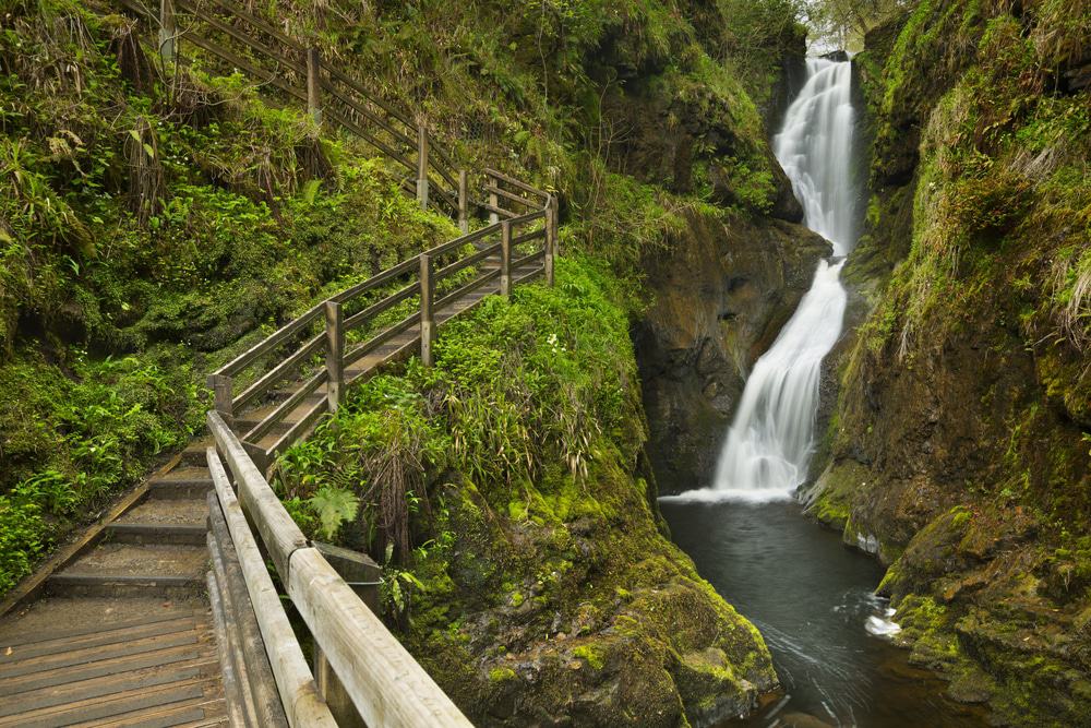 Glenariff Waterfall and Forest