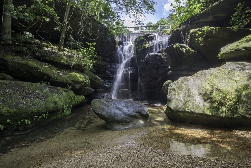 Dismals Canyon, Alabama