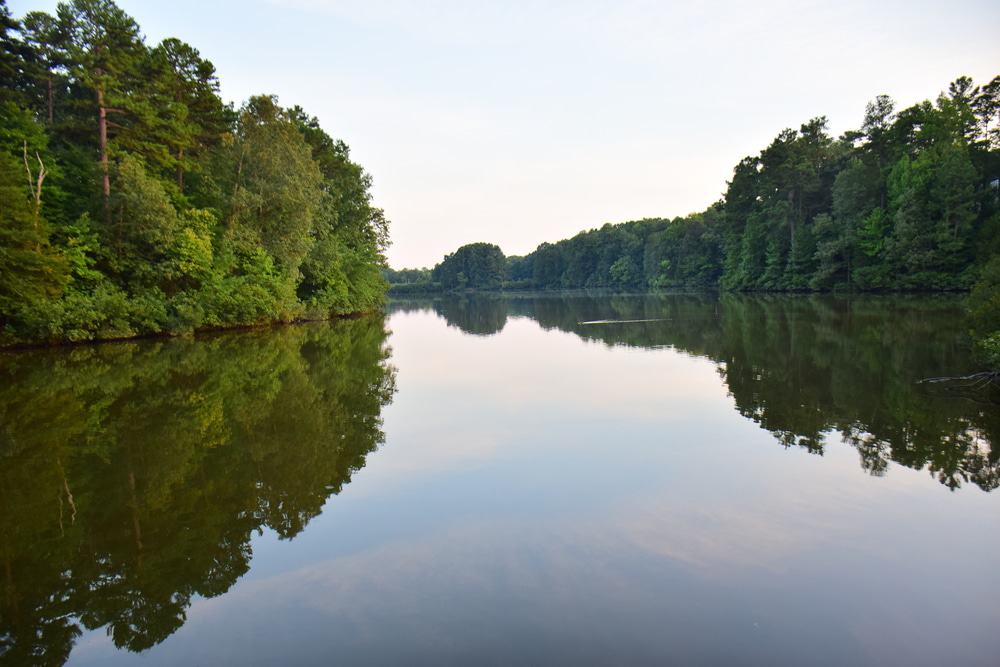 Lake Lynn, Raleigh