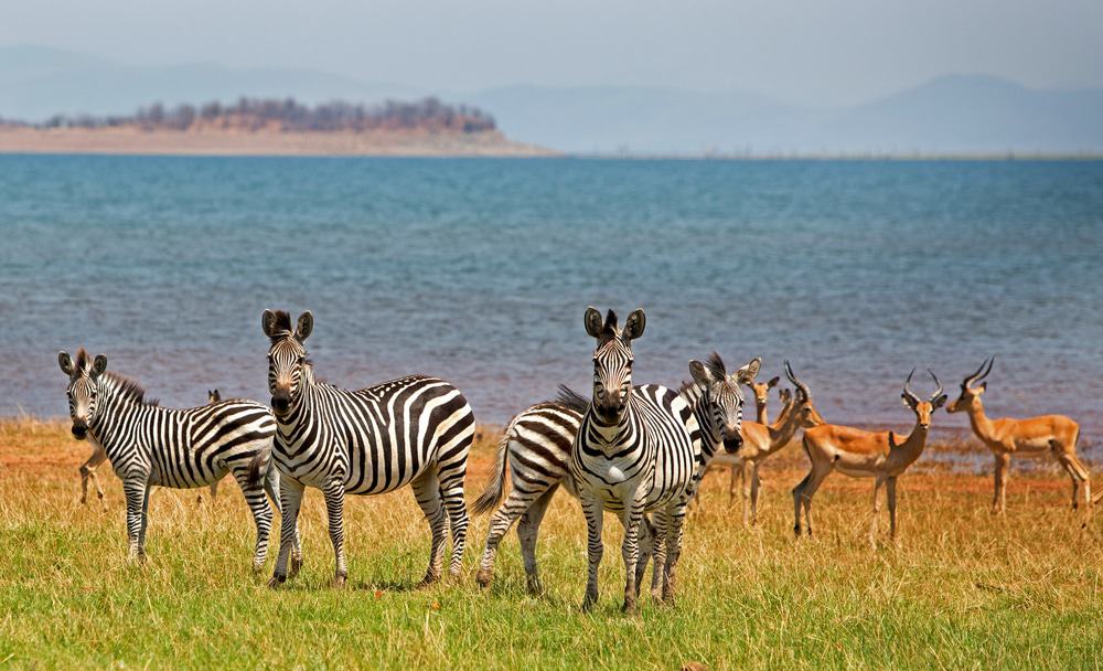 Lake Kariba, Zimbabwe