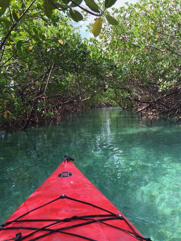 Lucayan National Park