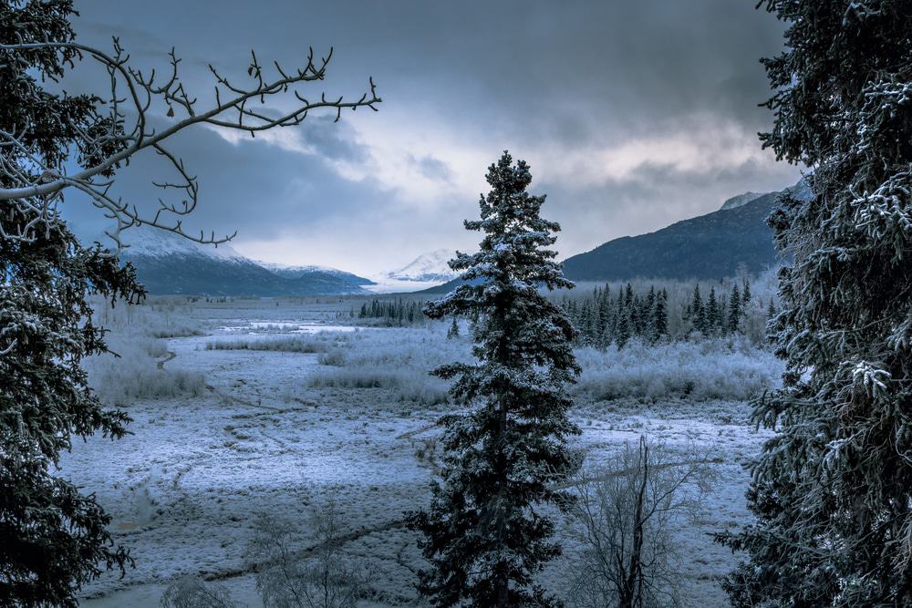 Knik Glacier Valley