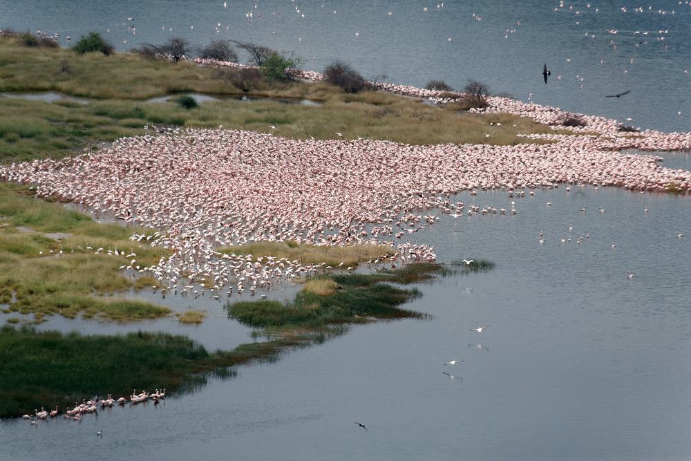 Lake Bogoria, Kenya