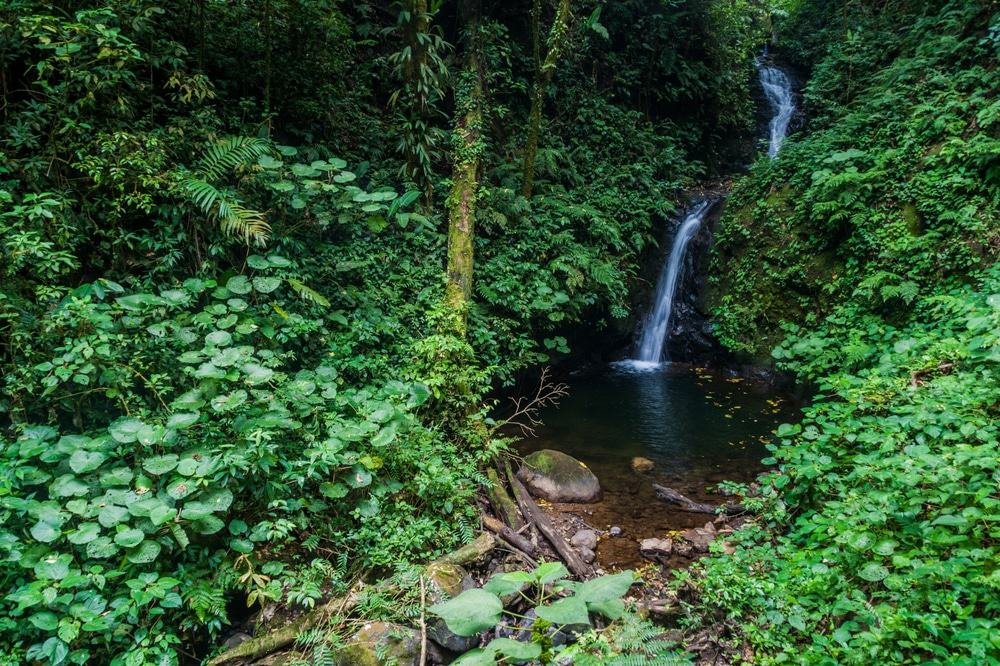 San Luis Waterfall, Costa Rica
