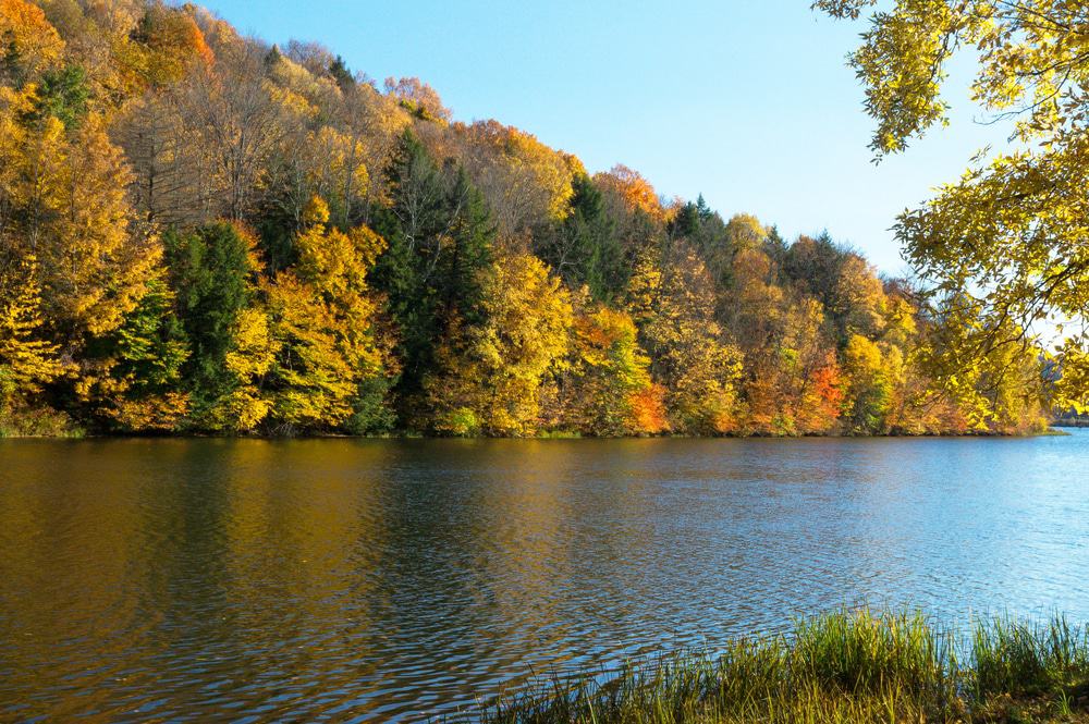 Lackawanna State Park