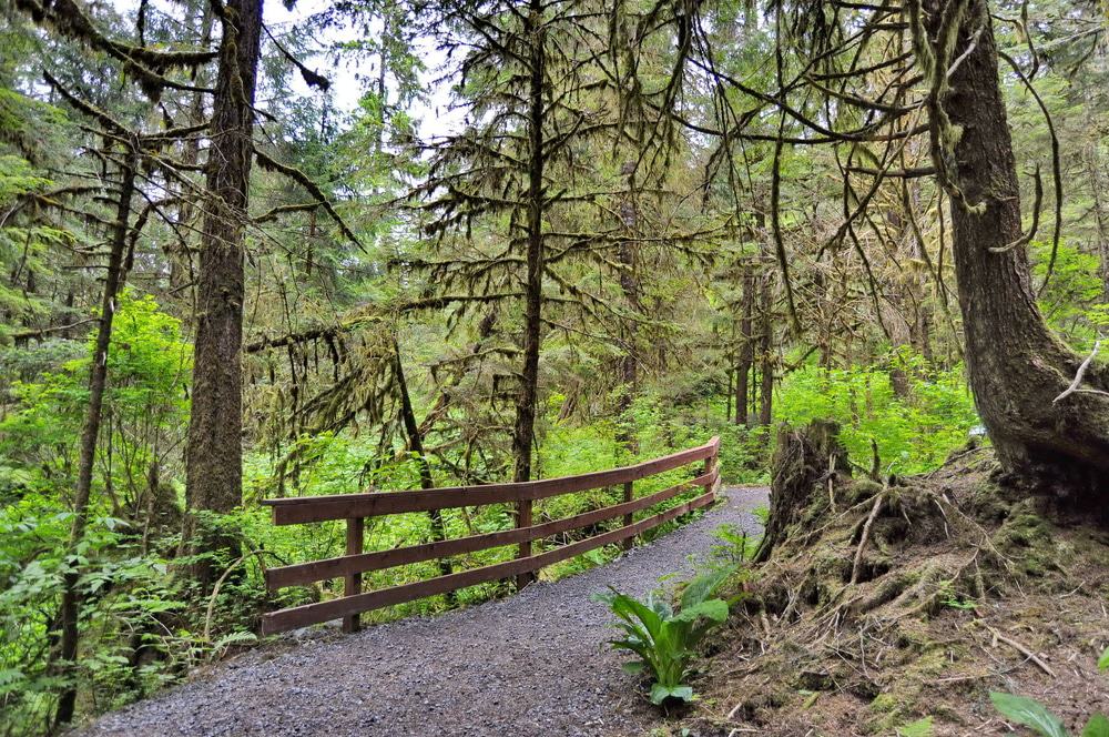 Tongass National Forest