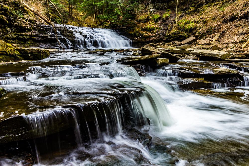 Salt Springs State Park, Pennsylvania