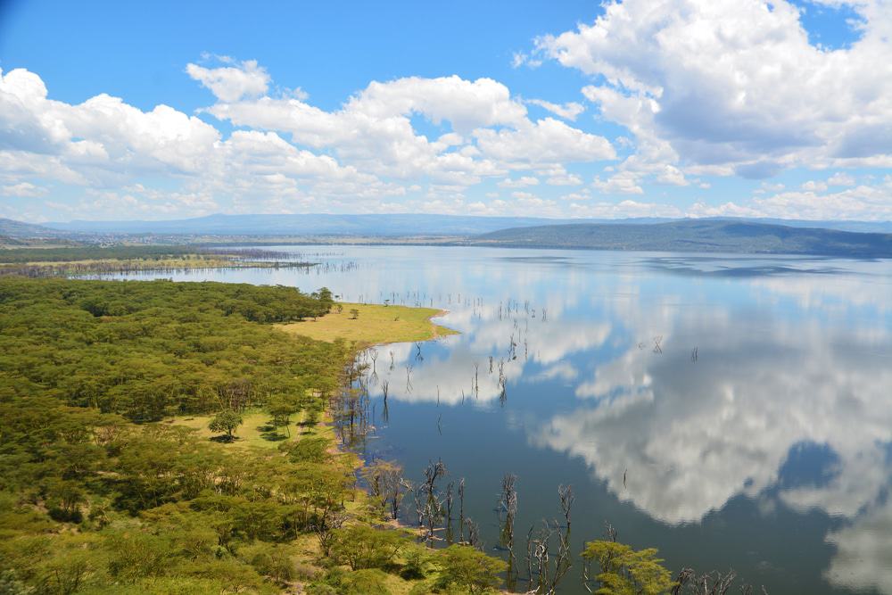 Lake Nakuru, Kenya