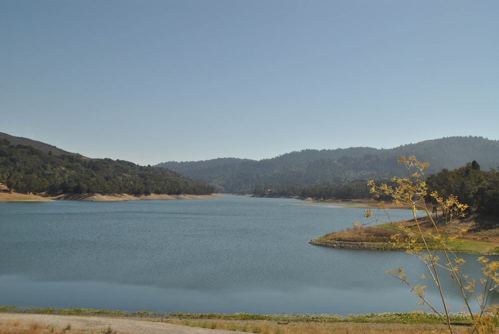Lexington Reservoir