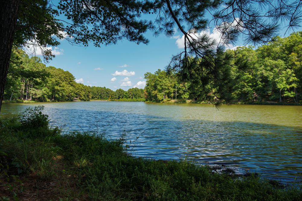 Durant Nature Preserve