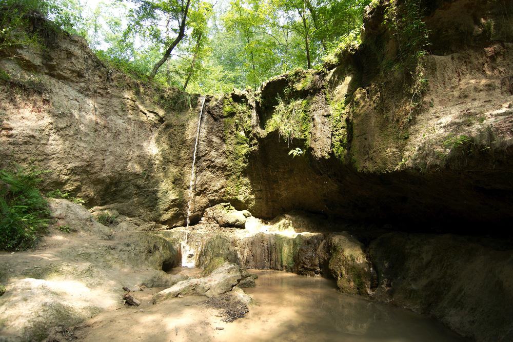 Clark Creek Natural Area, Louisiana