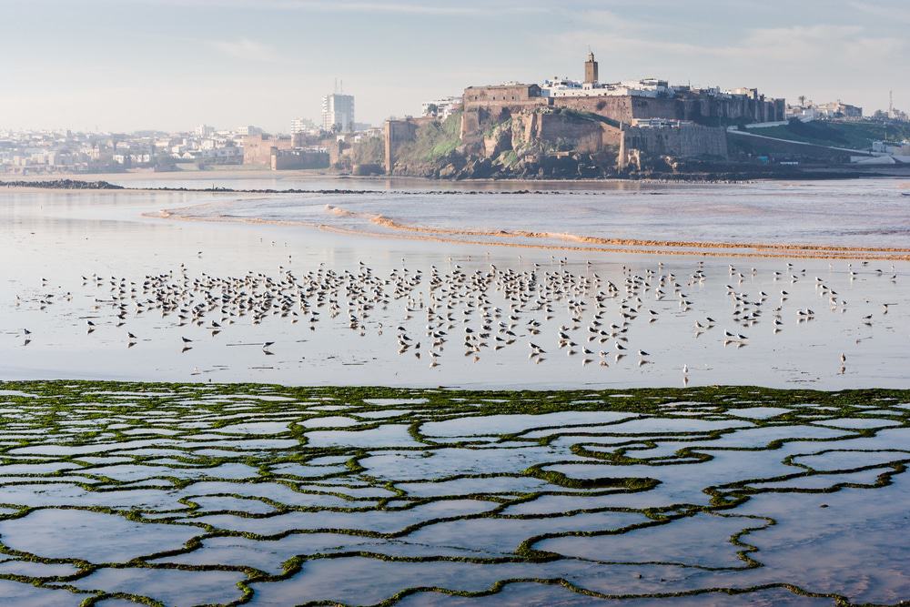 Sale, Morocco