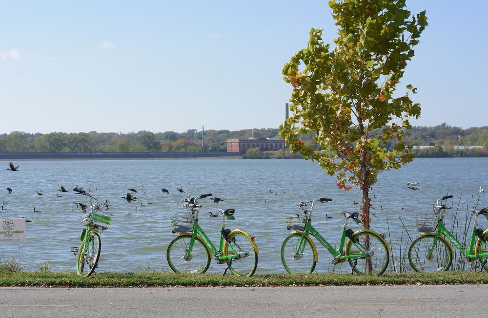 White Rock Lake, Dallas