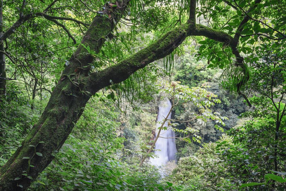 Los Chorros Waterfall, Costa Rica