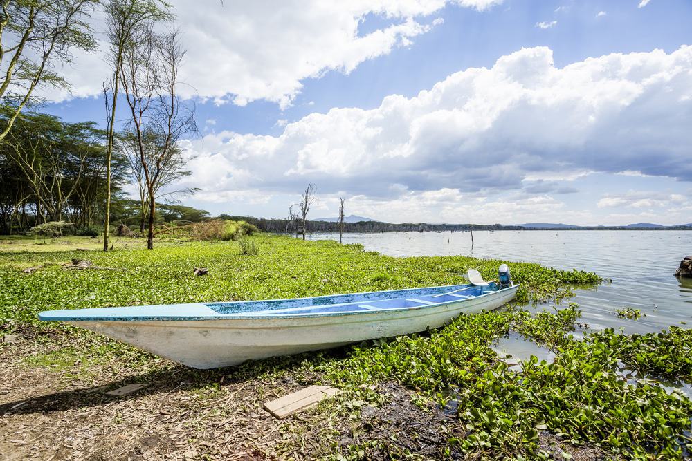 Lake Naivasha