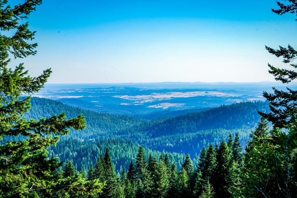 View from Mount Spokane