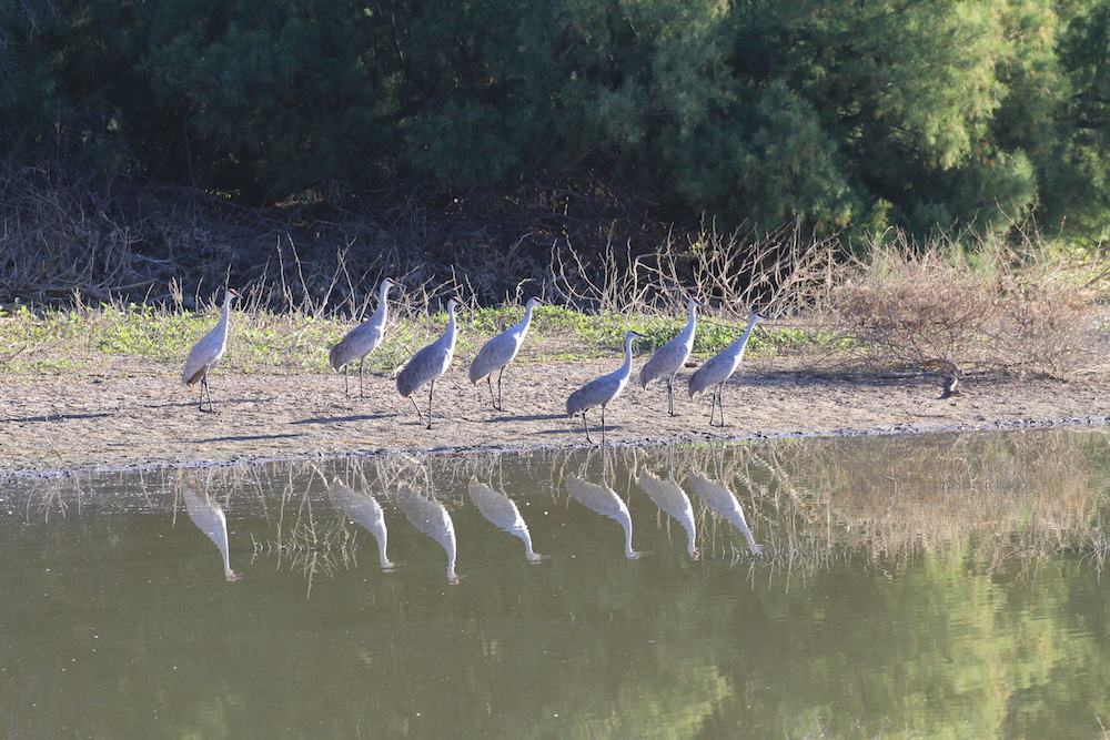El Rio Preserve