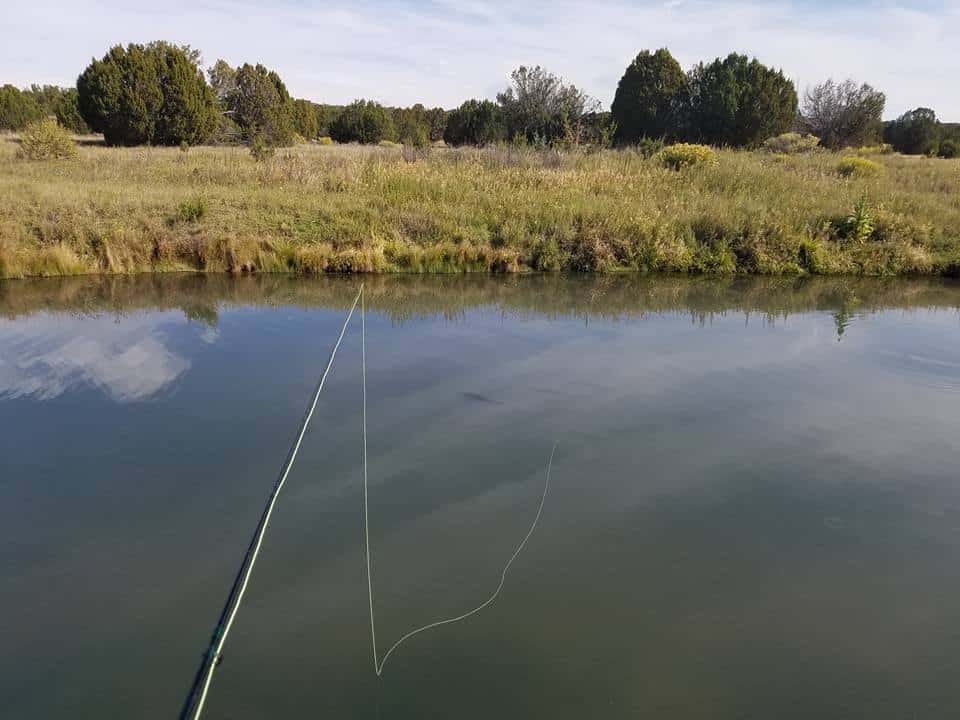 Silver Creek Fish Hatchery