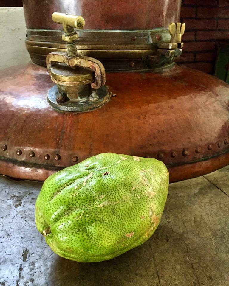 Vallindras Kitron Distillery