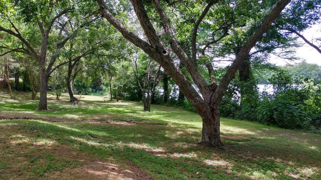 Ann & Roy Butler Hike & Bike Trail