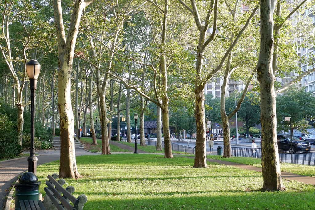 Cadman Plaza Park, Brooklyn