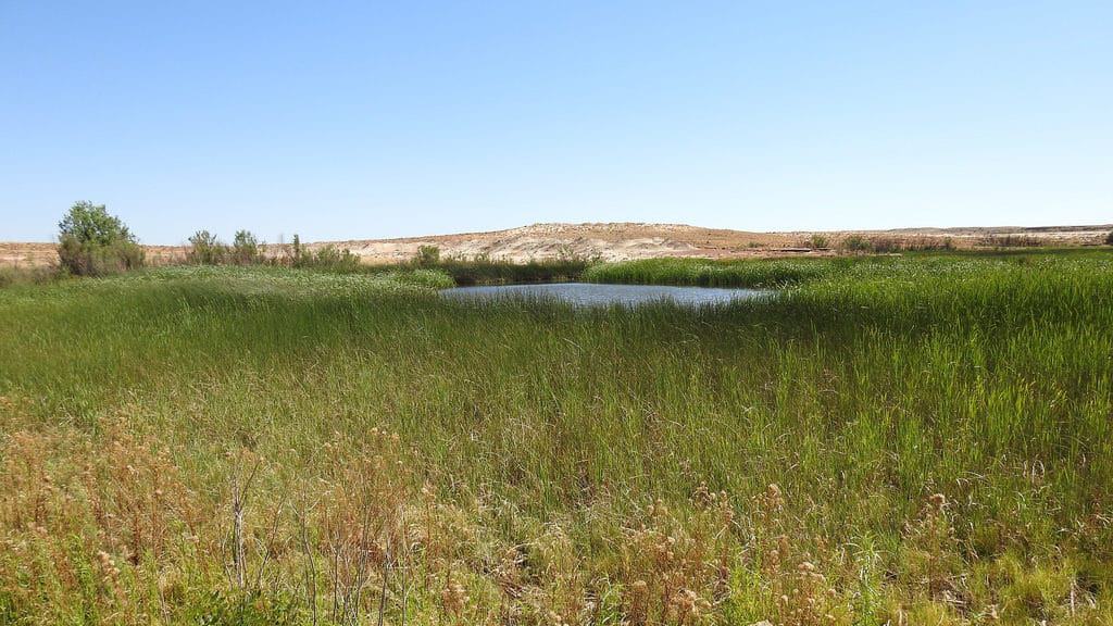 McHood Park, Winslow