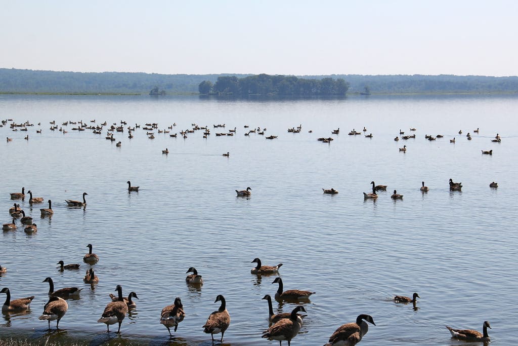 Pymatuning State Park
