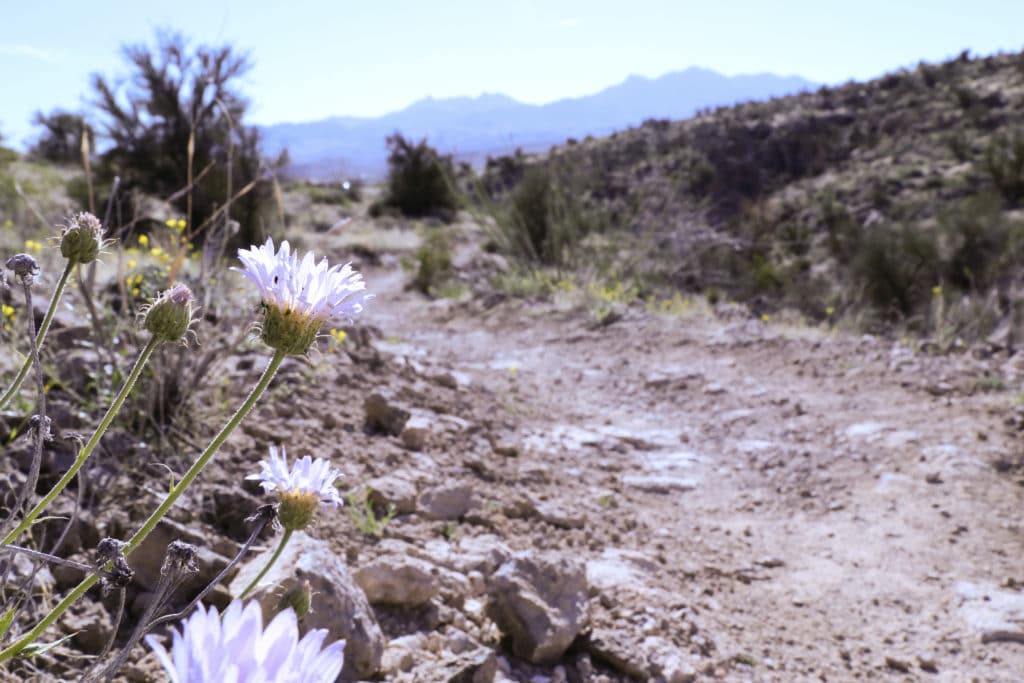 Cerbat Foothills Recreation Area