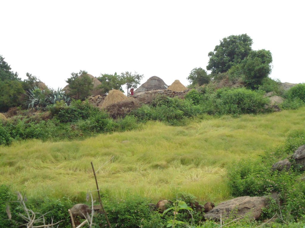 Jawadhu Hills