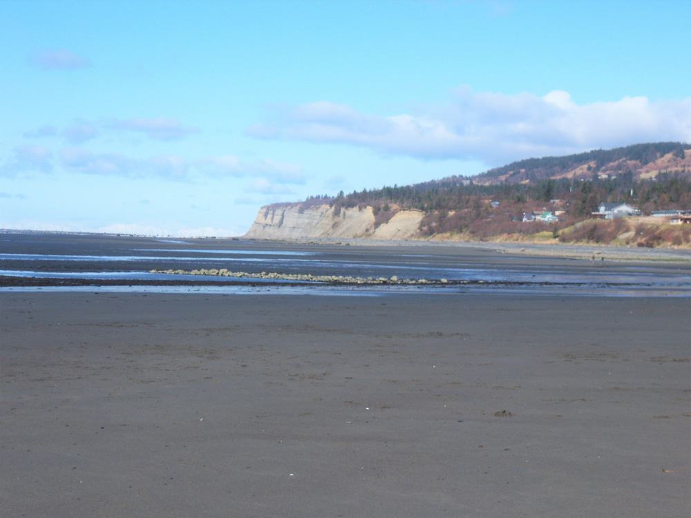 Bishop's Beach, Homer