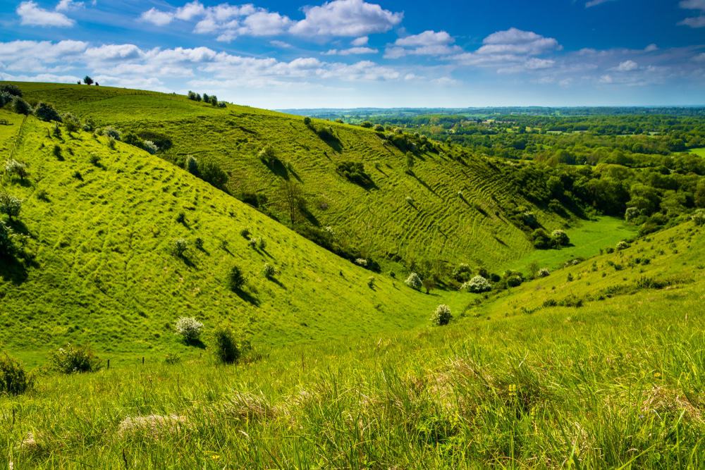 Wye National Nature Reserve