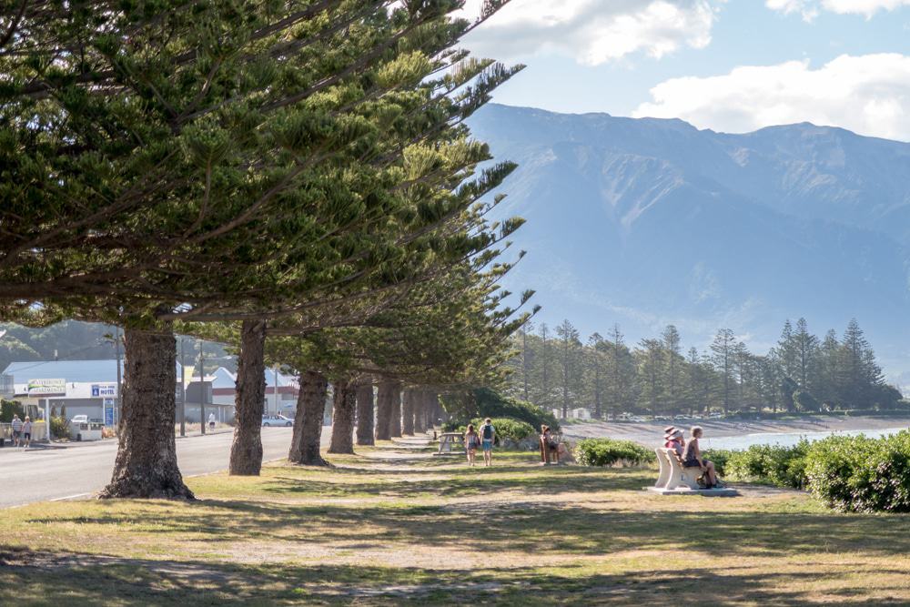 Kaikoura, New Zealand