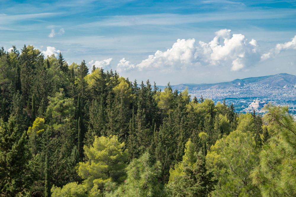 Kaisariani Forest