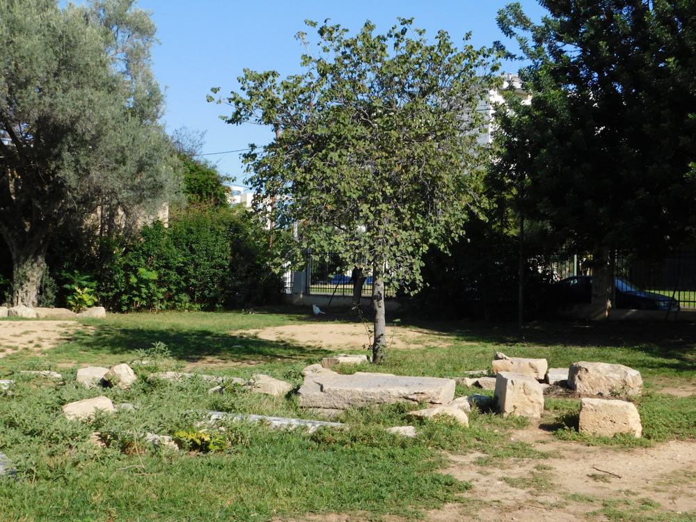 Plato Academy Park