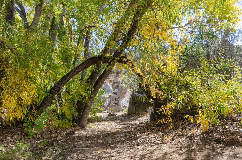 Fain Park, Prescott Valley