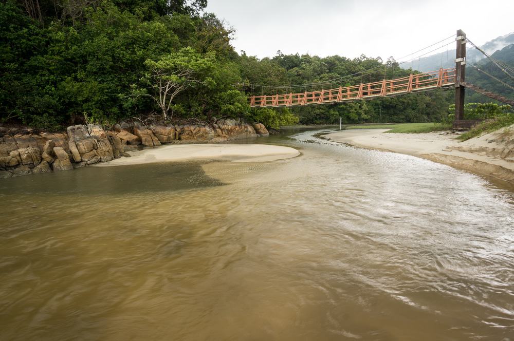 Penang National Park