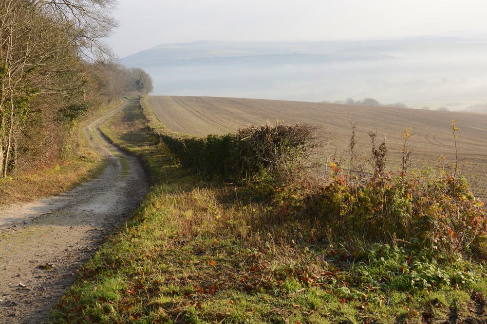 South Downs