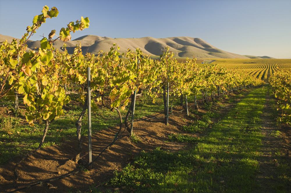 Santa Maria, California