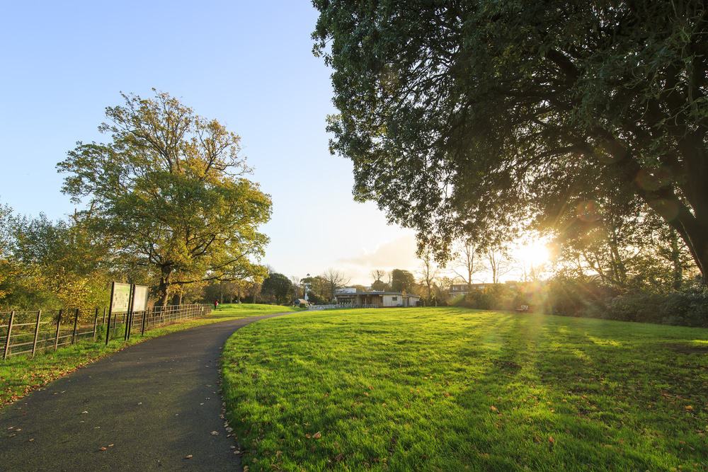 Hotham Park