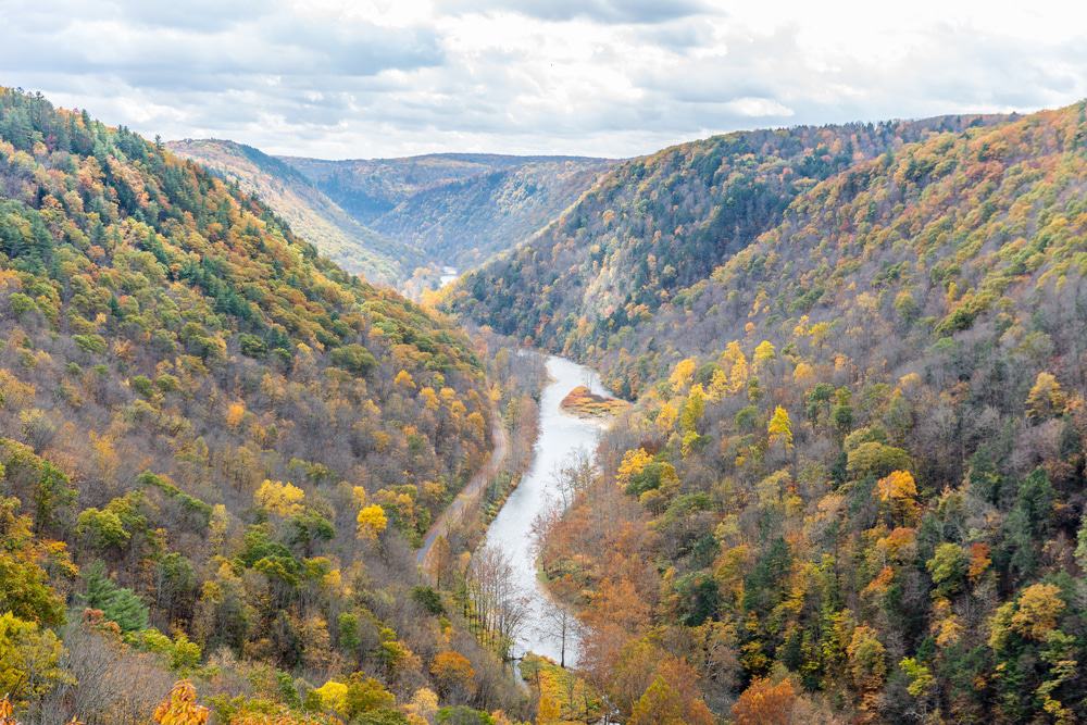 Pine Creek Gorge