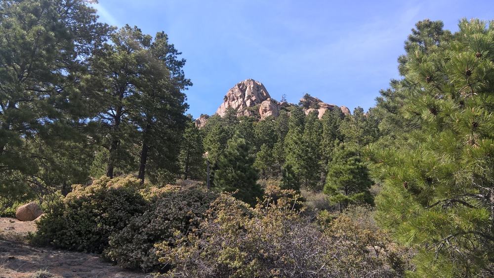 Hualapai Mountain Park