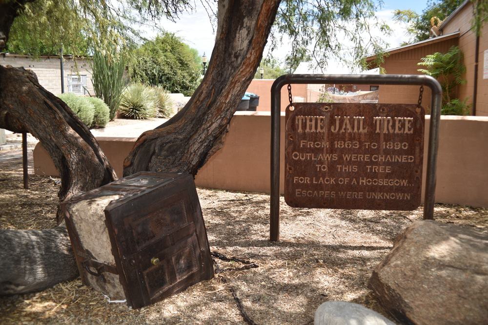 Jail Tree, Wickenburg
