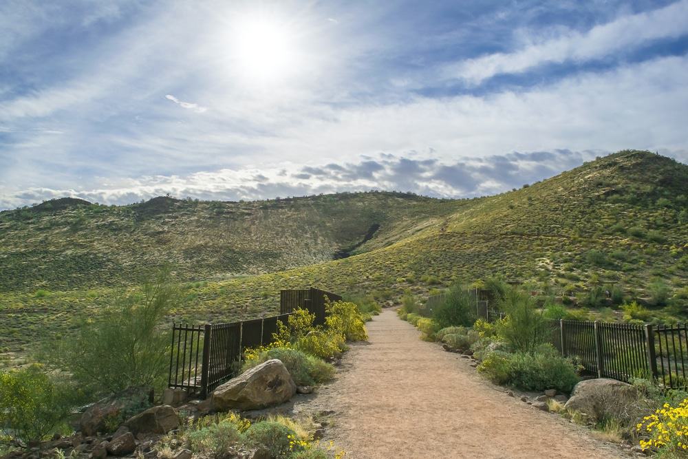 Thunderbird Conservation Park