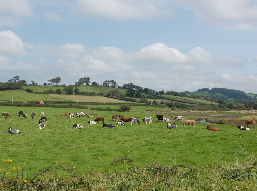 South West Coast Path