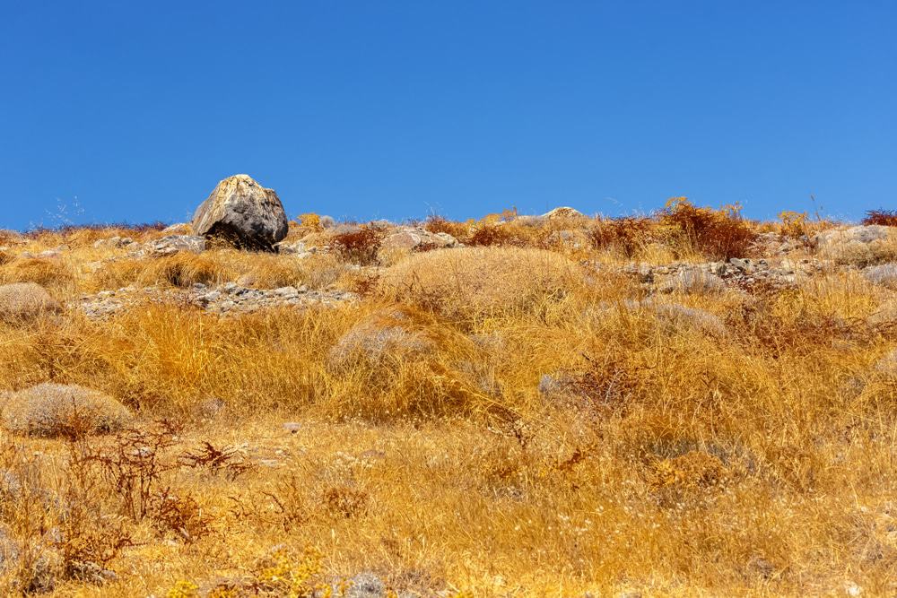 Petrified Forest of Lesbos